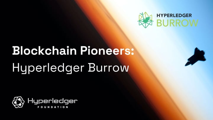 Blockchain Pioneers: Hyperledger Burrow