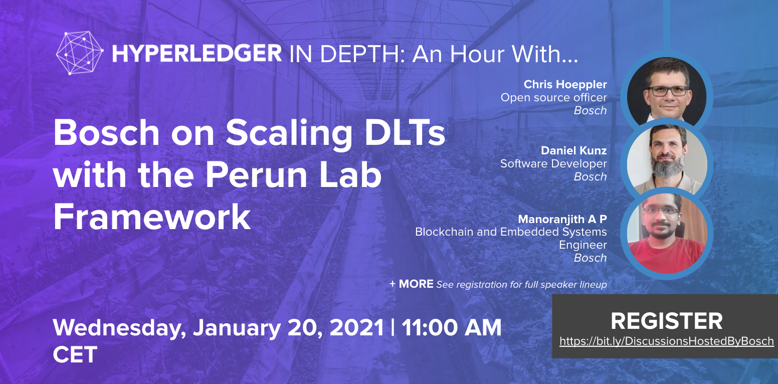 Hyperledger In-Depth: an hour with Bosch on Scaling DLTs with the Perun Framework