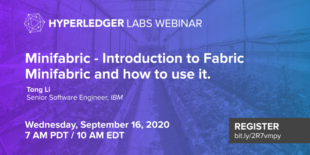 Hyperledger Labs Webinar: Minifabric – Introduction to Fabric Minifabric and how to use it