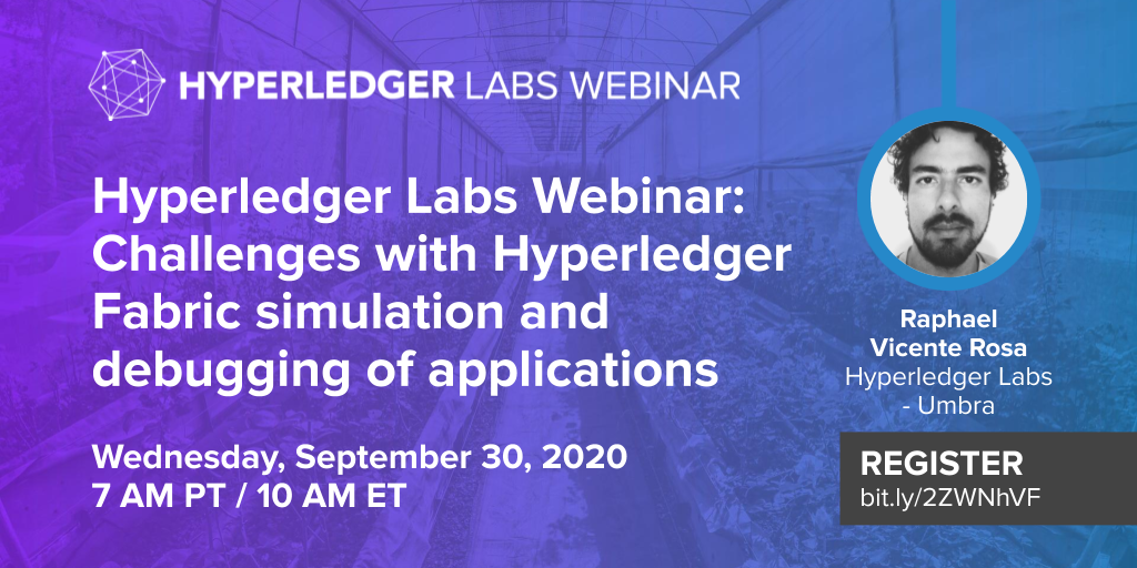 Hyperledger Labs Webinar: Umbra – Challenges with Hyperledger Fabric simulation and debugging of applications