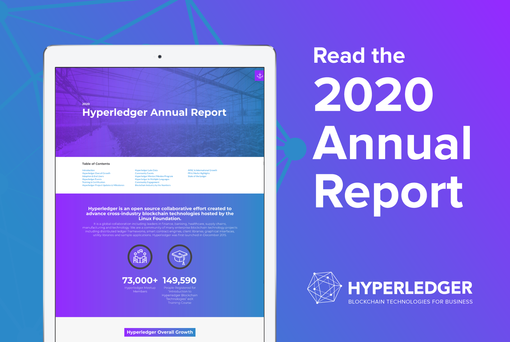 2020 Hyperledger Annual Report