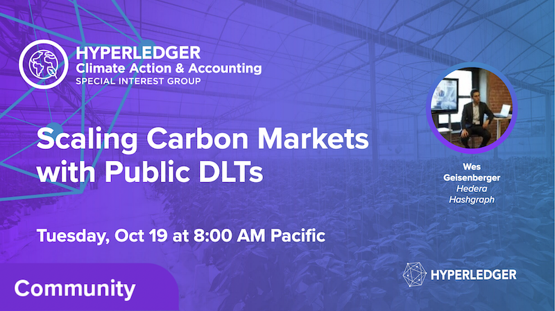 Scaling Carbon Markets with Public DLTs