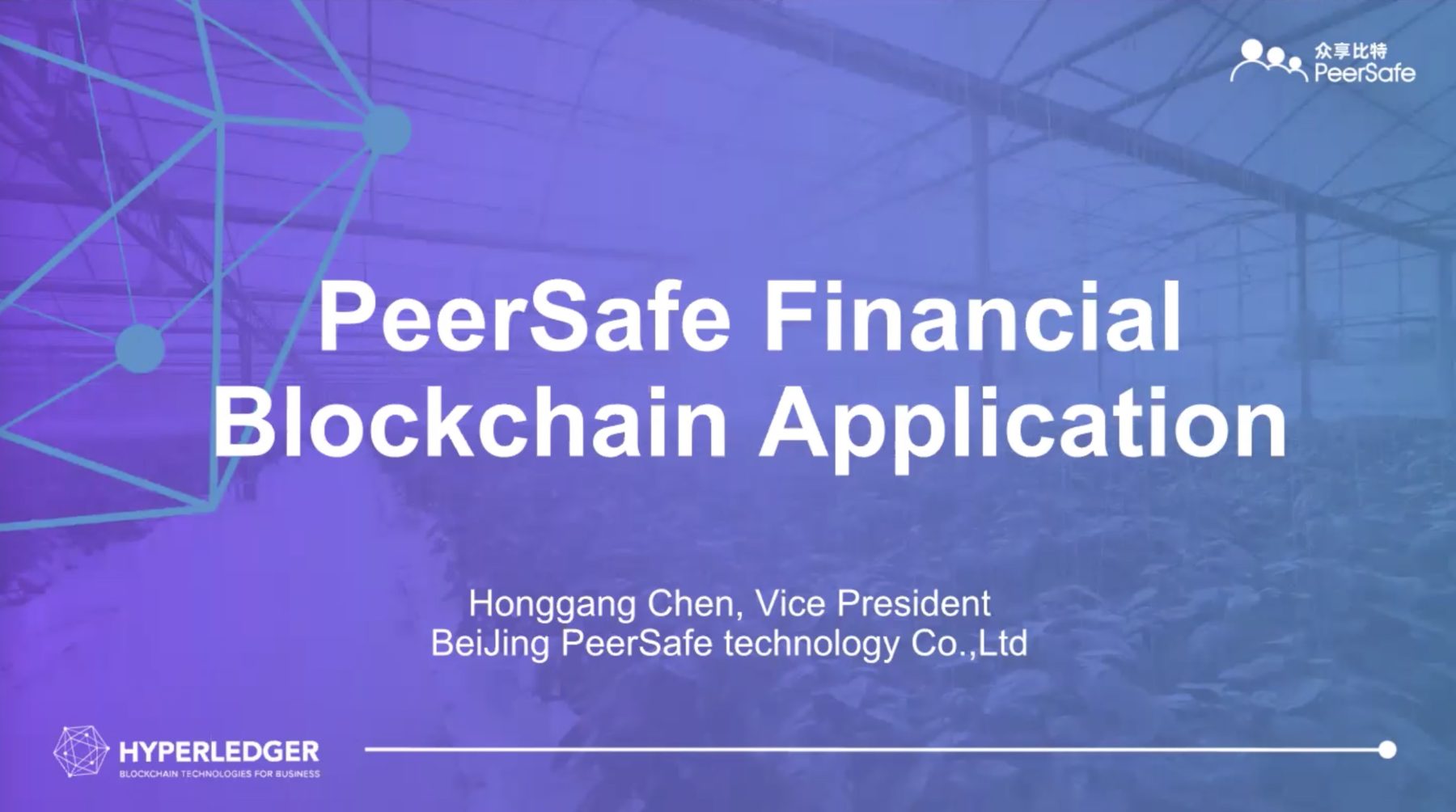 PeerSafe Financial Blockchain Application